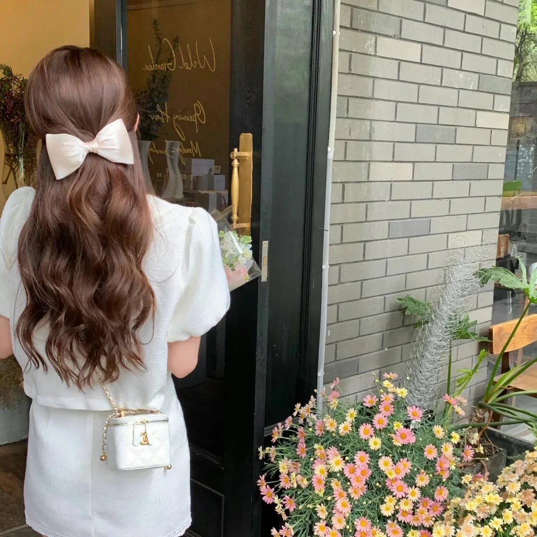 蟾蜍之路